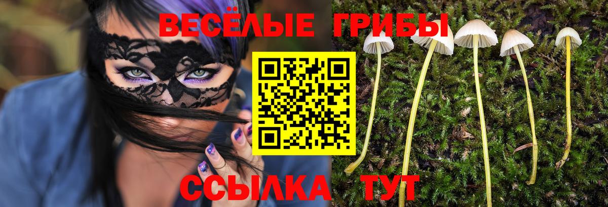 Псилоцибиновые грибы ЛСД Пенза